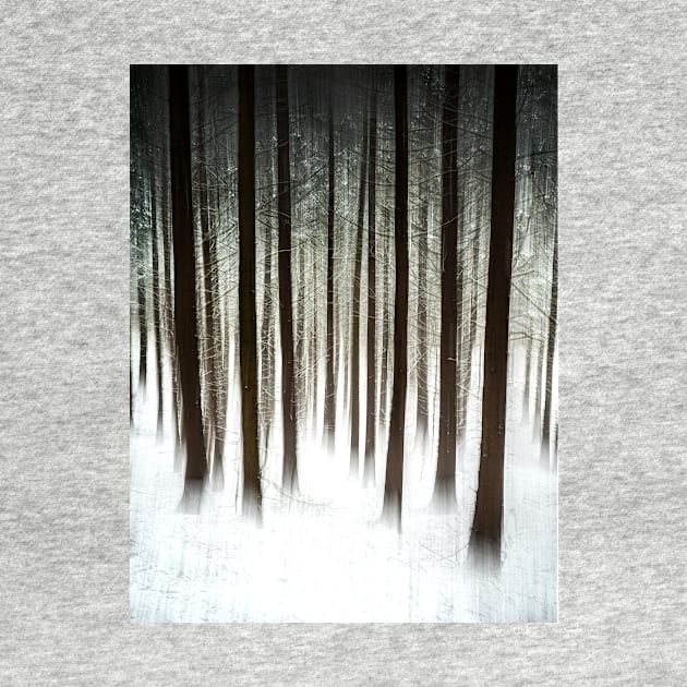 Snowy Forest Abstract by TonyNorth